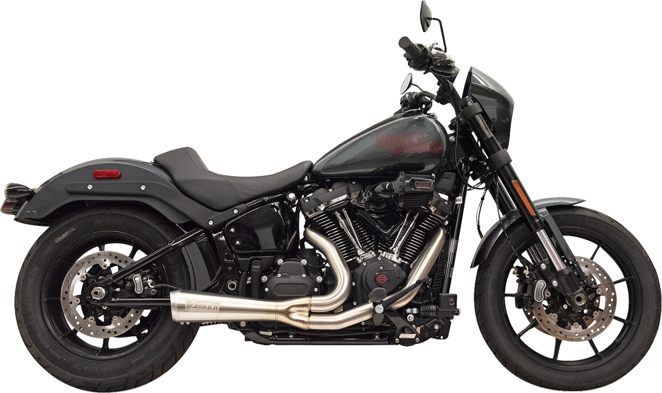 2-into-1 Ripper Exhaust System with Megaphone Muffler - Short - 49-State