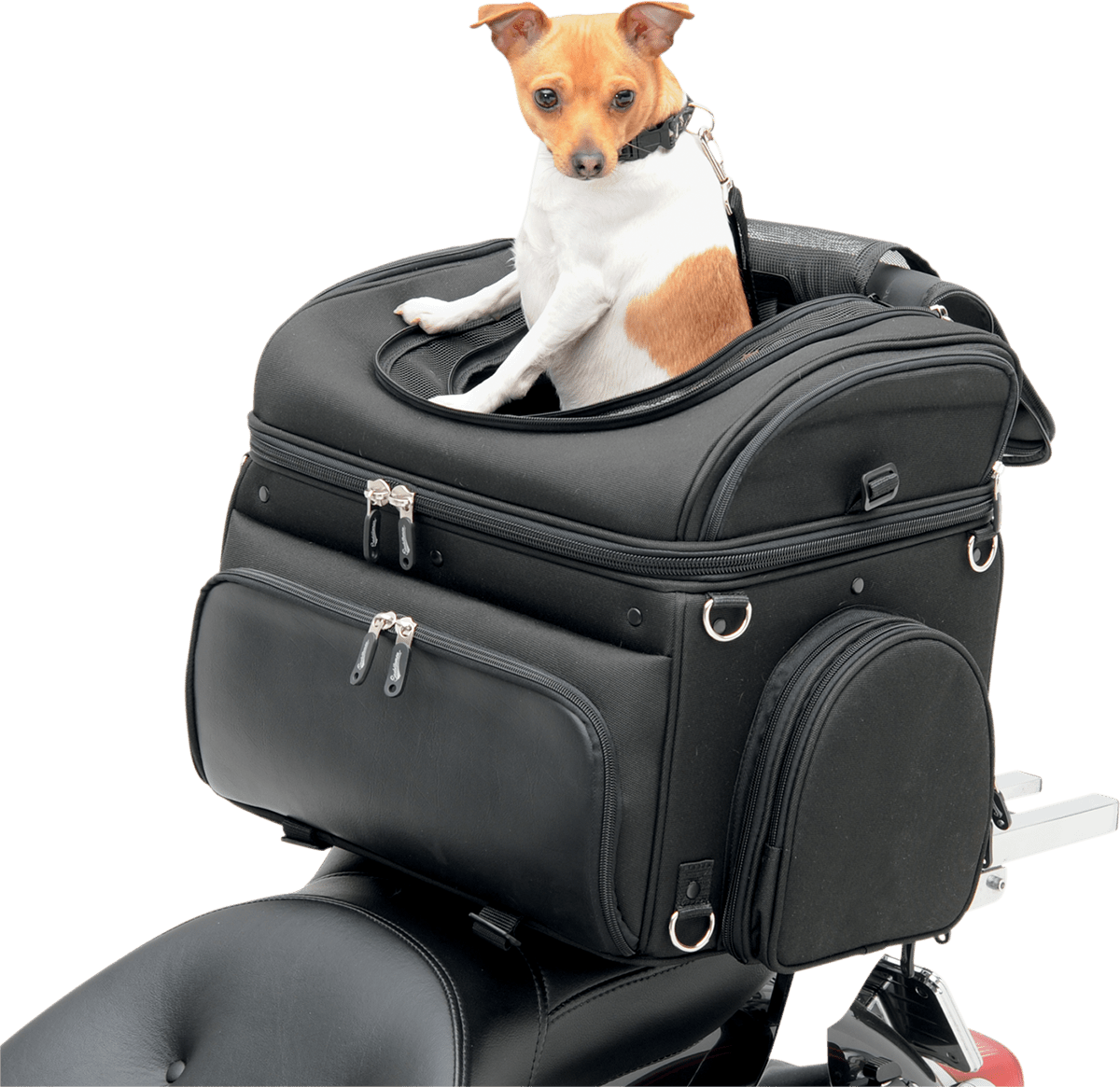 SADDLEMEN-Pet Voyager-Dog Carrier-MetalCore Harley Supply