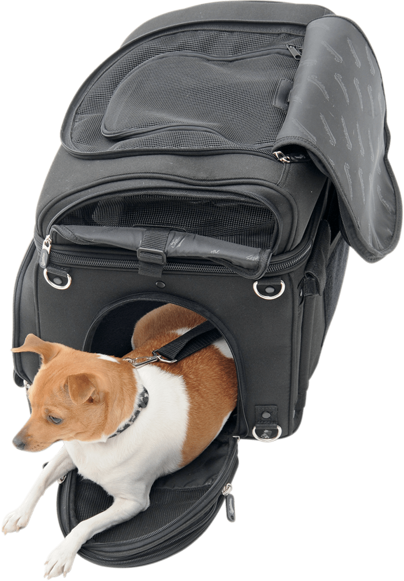 SADDLEMEN-Pet Voyager-Dog Carrier-MetalCore Harley Supply