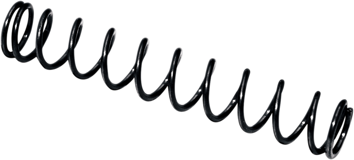 FEULING - Camplate Pressure Relief Spring - View 2 - MetalCore Harley Supply