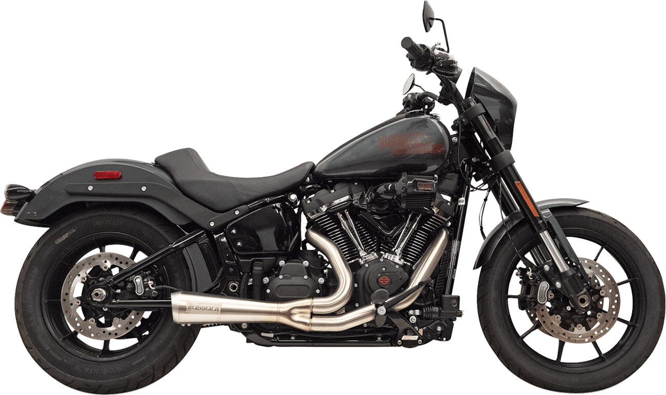 BASSANI EXHAUST-2-into-1 The Ripper Exhaust System - MetalCore Harley Supply