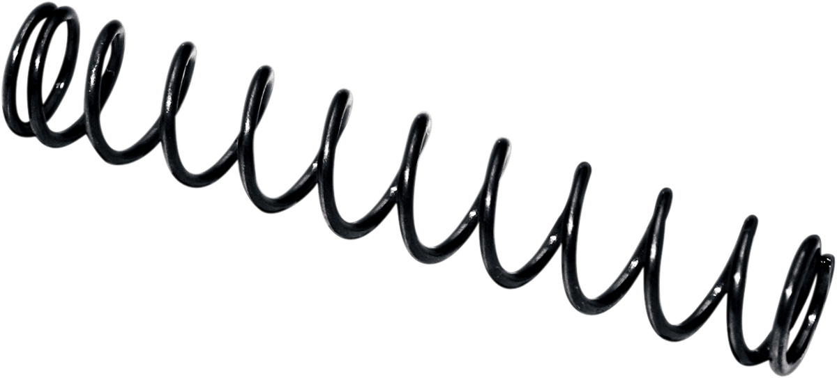 FEULING - Camplate Pressure Relief Spring - View 2 - MetalCore Harley Supply