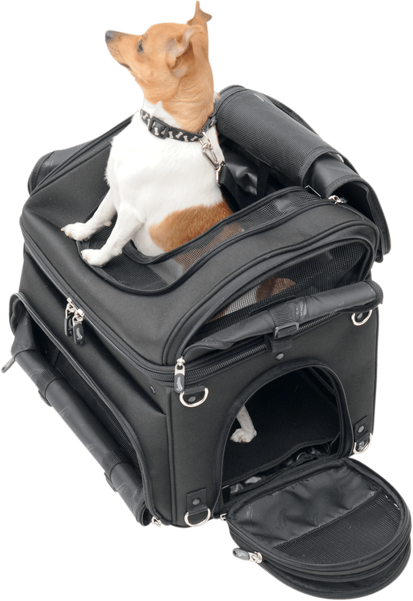 SADDLEMEN-Pet Voyager-Dog Carrier-MetalCore Harley Supply